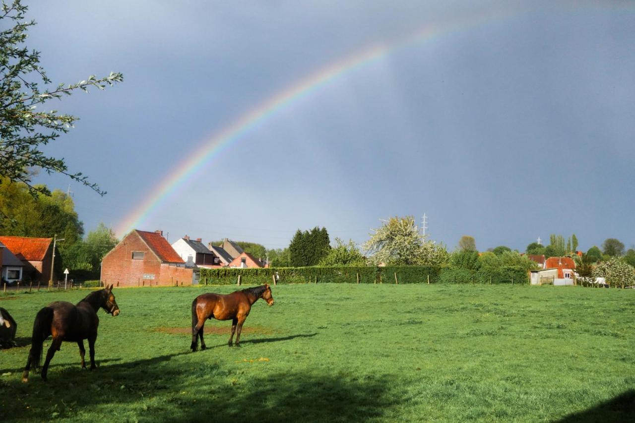 Gîte rural Les petites têtes Leuze-en-Hainaut Exterior foto